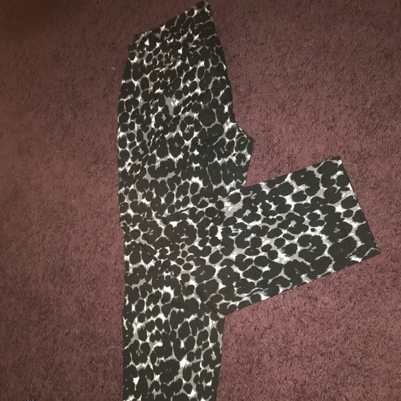 Cheetah - Picture 1 of 1